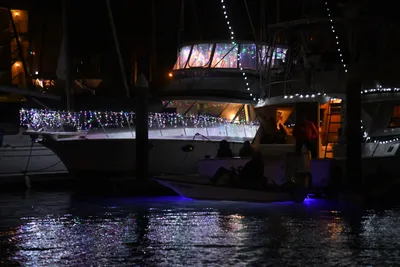 DSC_2462 (Large).JPG